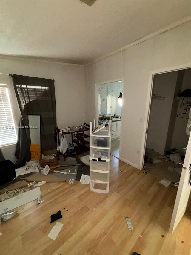 bedroom with a walk in closet and light hardwood / wood-style floors