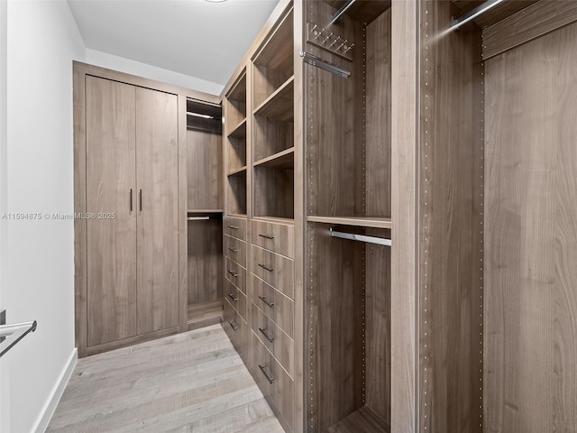 walk in closet with wood finished floors