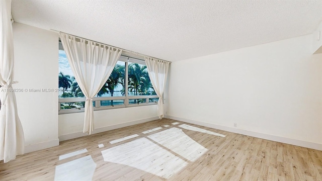 empty room featuring a textured ceiling, light hardwood / wood-style flooring, and a wealth of natural light