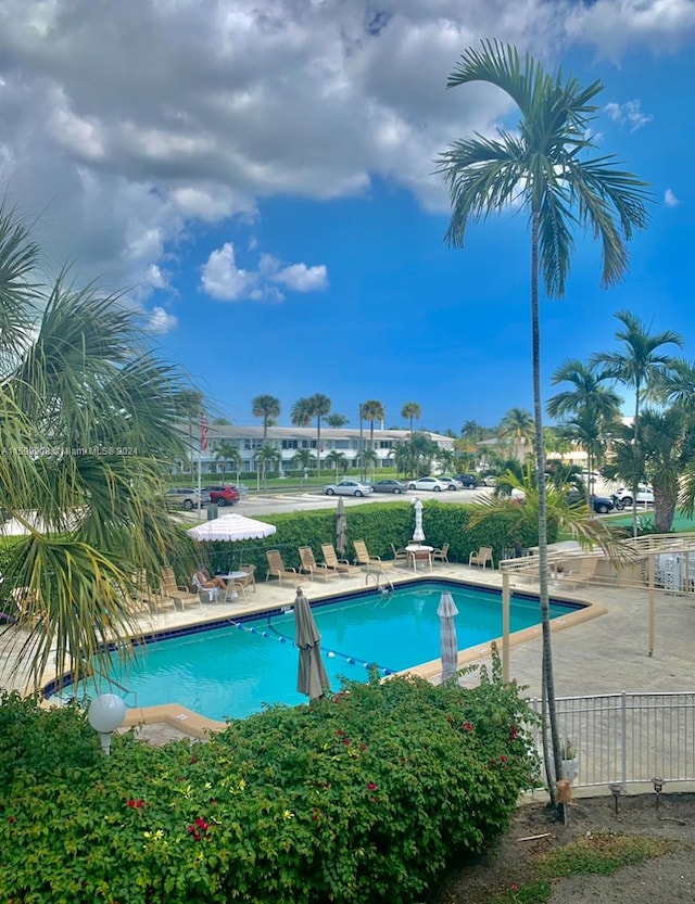 view of swimming pool with a patio area