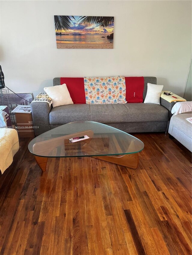 living room featuring wood-type flooring