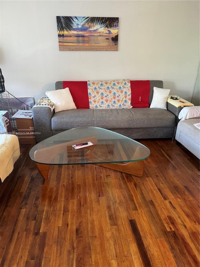 living area featuring wood-type flooring