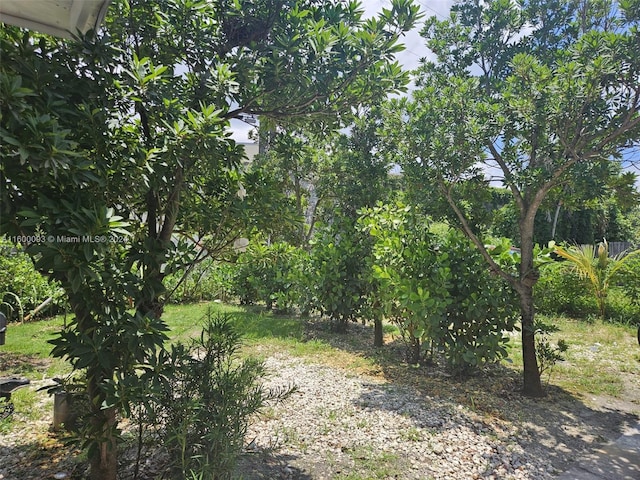 view of nature