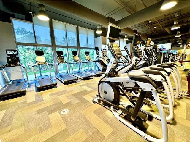 exercise room with a high ceiling and light colored carpet