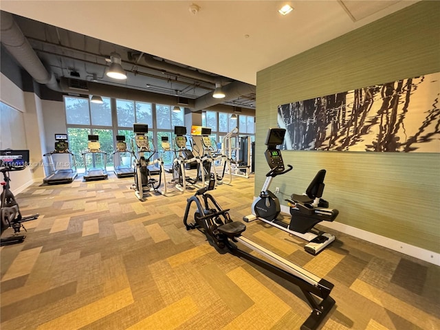 exercise room featuring light carpet