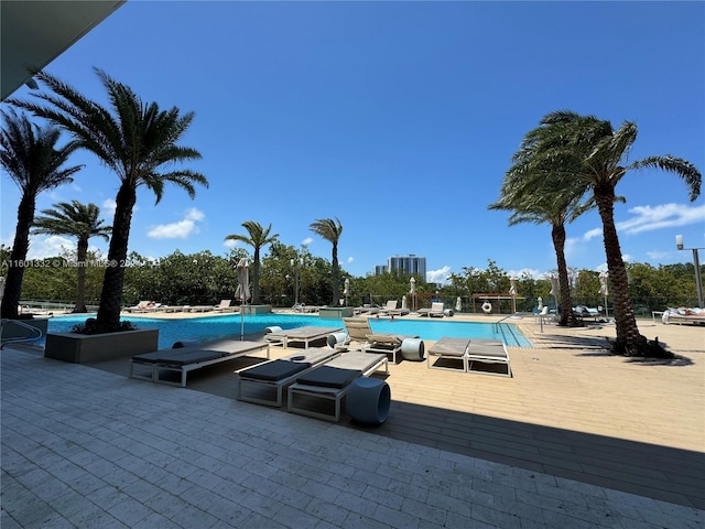 view of swimming pool featuring a patio area