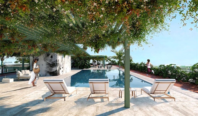 view of swimming pool featuring a patio