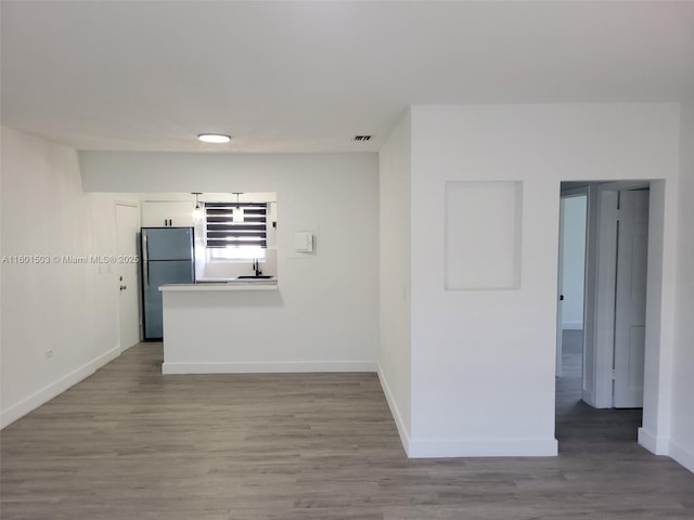 empty room featuring wood-type flooring and sink