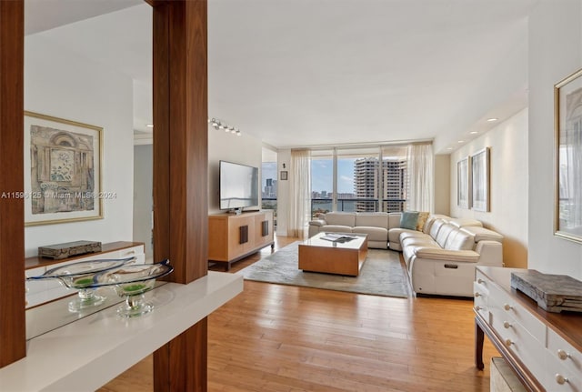 living room featuring expansive windows and light wood-type flooring