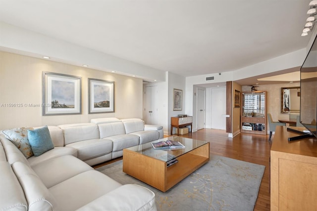 living room featuring wood-type flooring