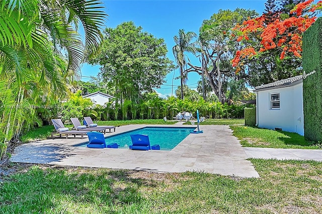 outdoor pool with a yard and a patio area