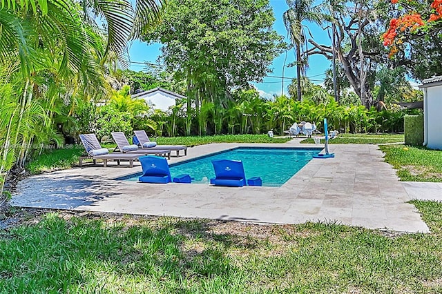 view of swimming pool with a patio