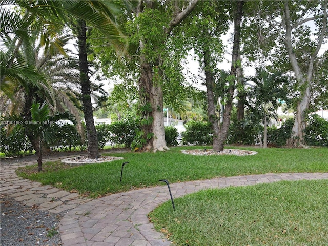 view of community featuring a yard
