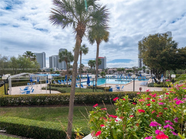 view of swimming pool