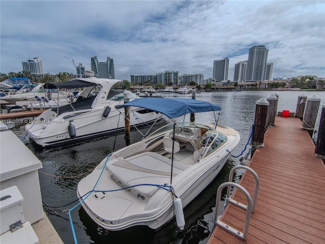 dock area with a water view