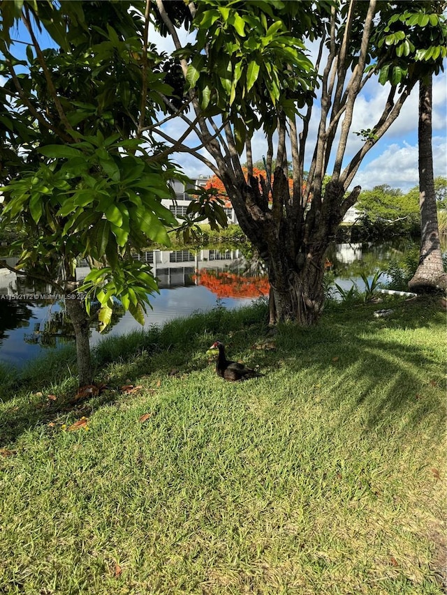 view of yard featuring a water view