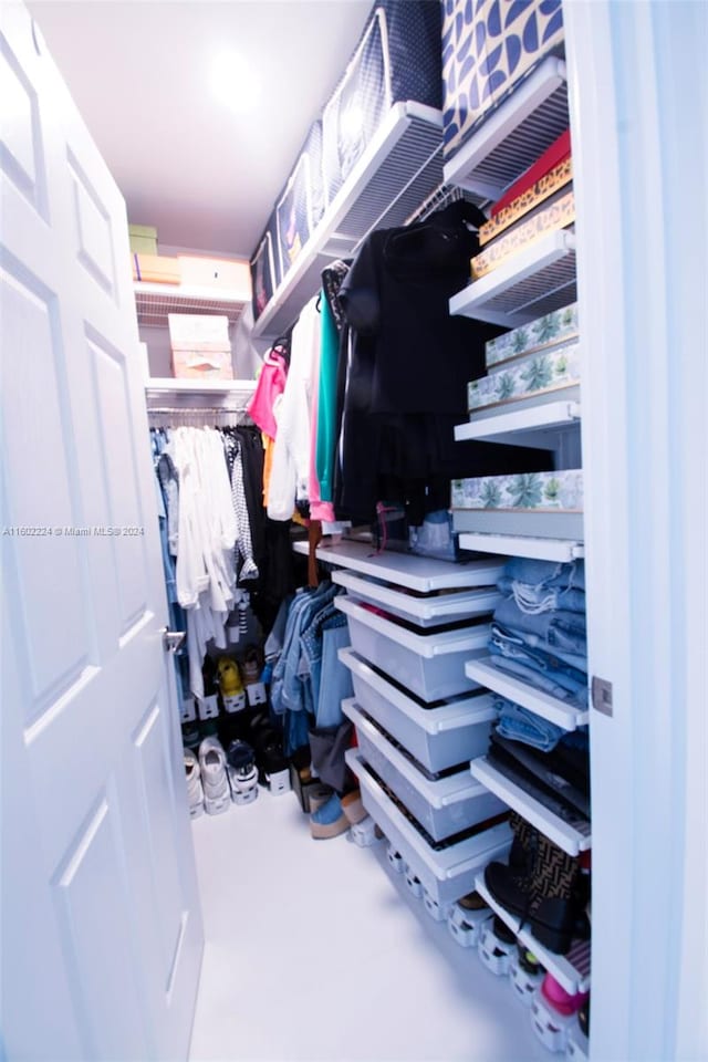 view of walk in closet