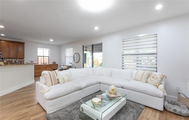 living room featuring light hardwood / wood-style flooring