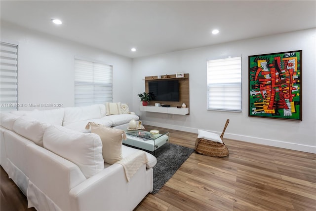 living room with hardwood / wood-style floors