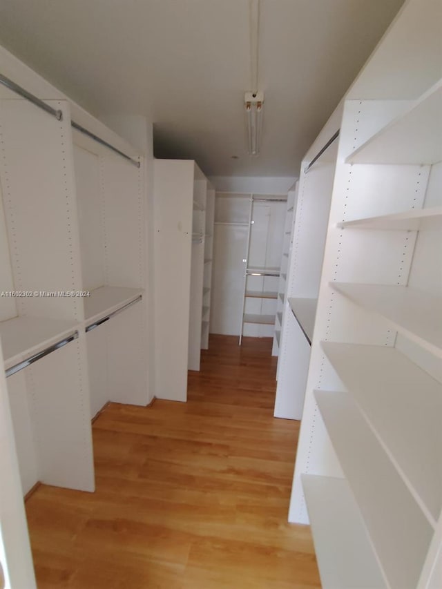 walk in closet with light hardwood / wood-style floors