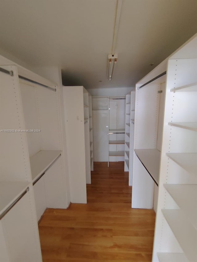 spacious closet featuring light hardwood / wood-style flooring