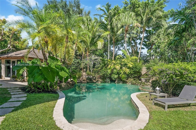 view of swimming pool with a yard