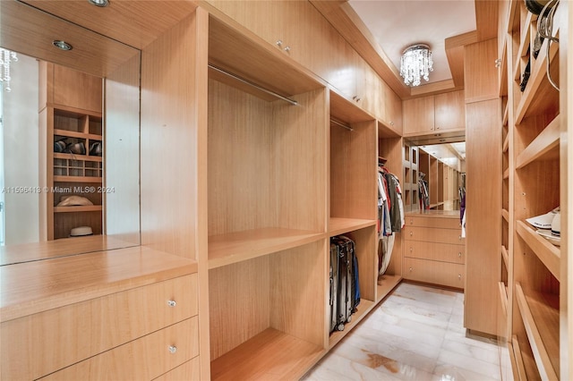 view of walk in closet