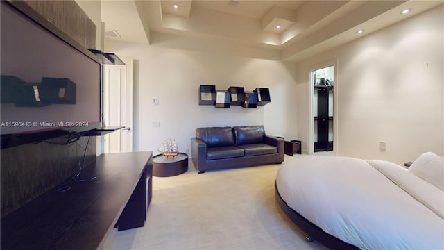 carpeted living room with a raised ceiling