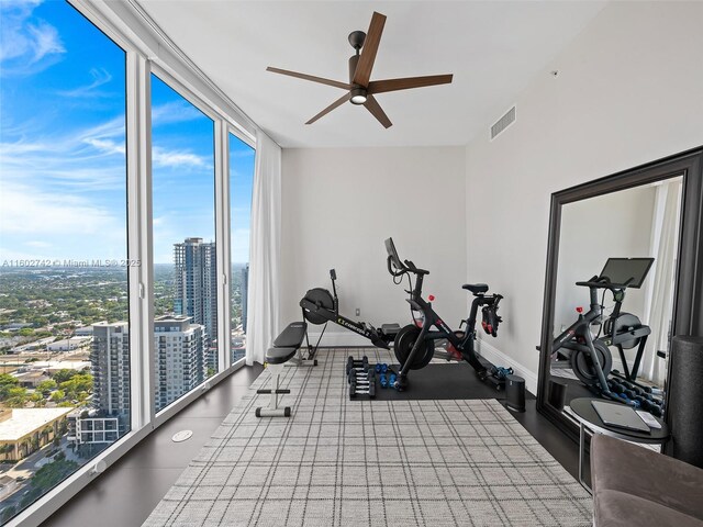 exercise area with expansive windows and ceiling fan