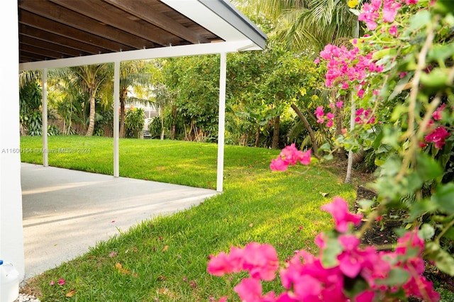 view of patio / terrace with a garage and a carport