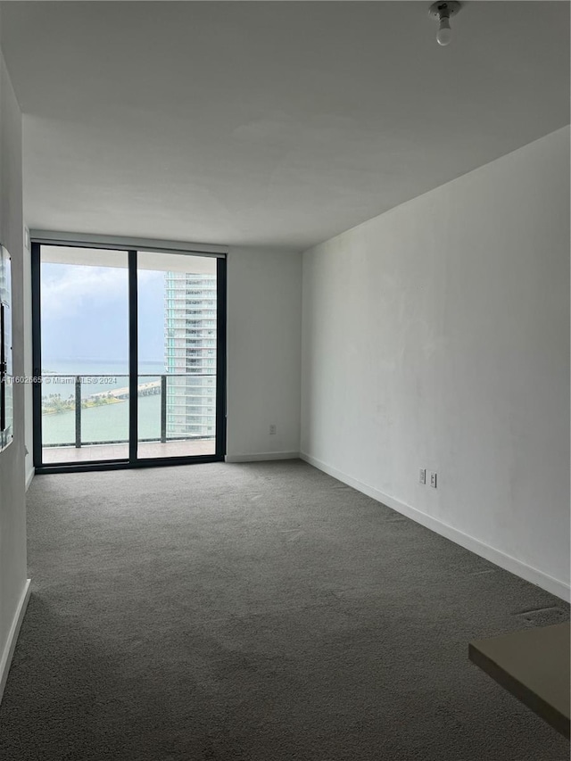 unfurnished room with carpet floors