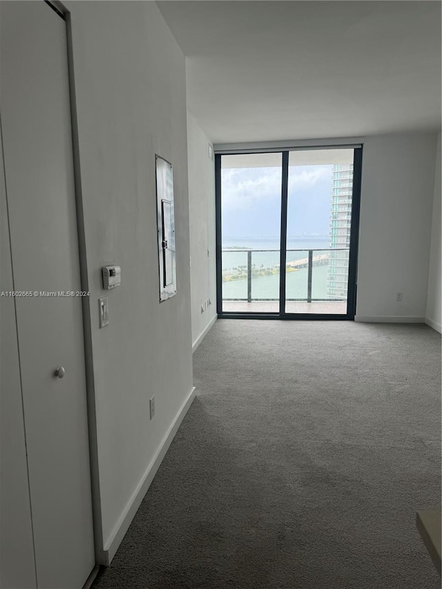 unfurnished room with carpet flooring