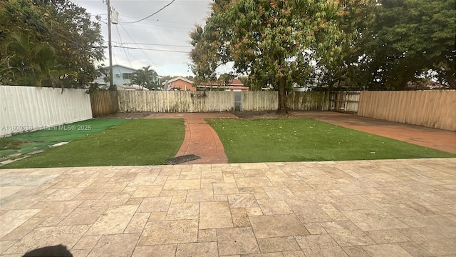 view of yard featuring a patio area and a fenced backyard