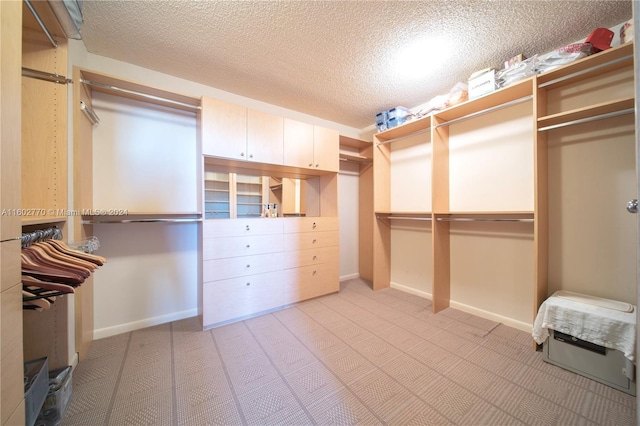 spacious closet featuring light carpet