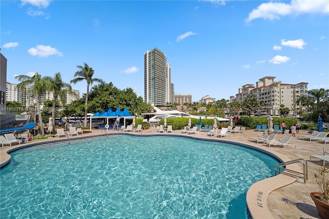 view of pool featuring a patio area