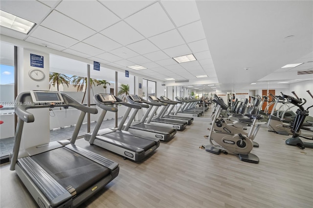 workout area featuring a drop ceiling, light hardwood / wood-style flooring, and a wall of windows