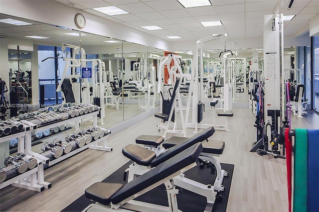 workout area with hardwood / wood-style floors and a drop ceiling