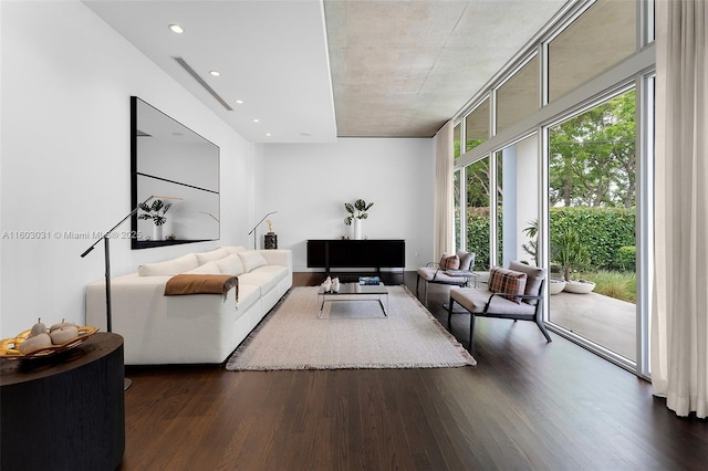 living room featuring dark wood-type flooring