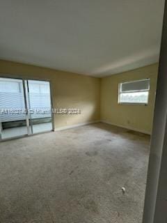 spare room with carpet and a wealth of natural light