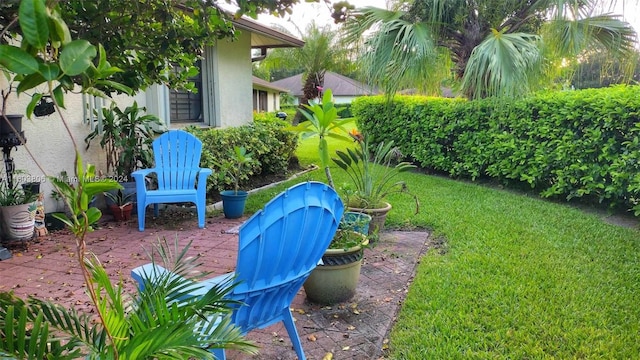 view of yard with a patio area