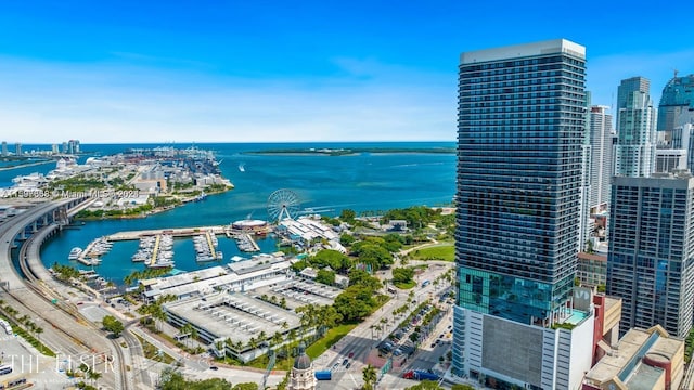 bird's eye view with a water view