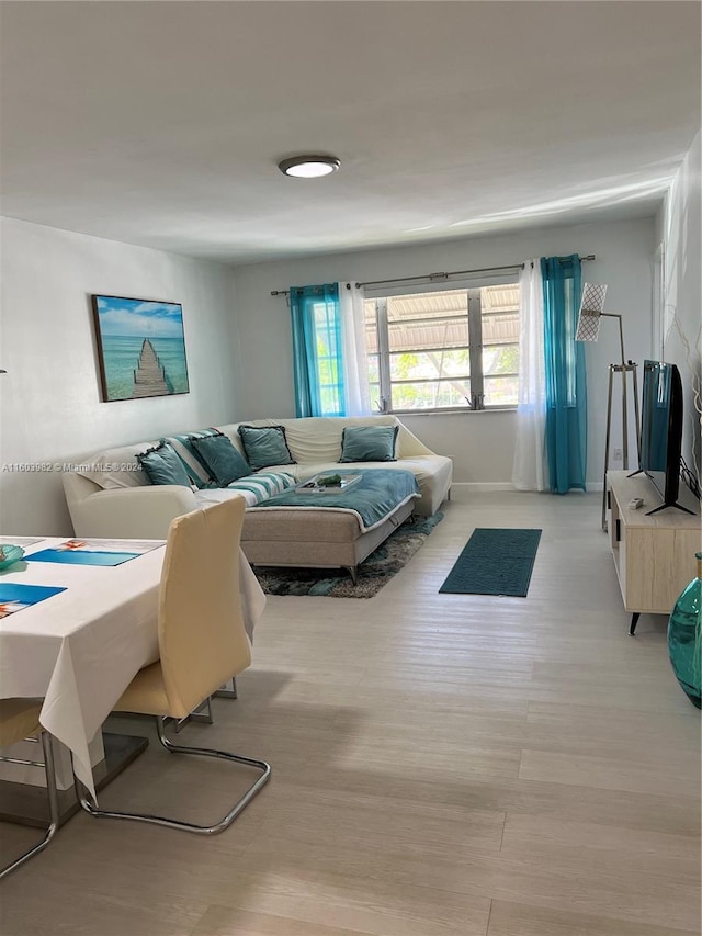 living room with light hardwood / wood-style flooring