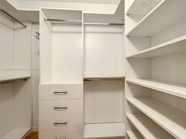 view of walk in closet