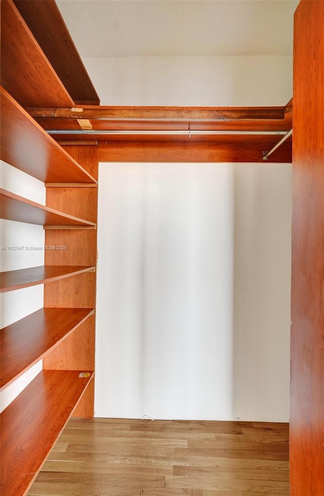 spacious closet featuring wood-type flooring