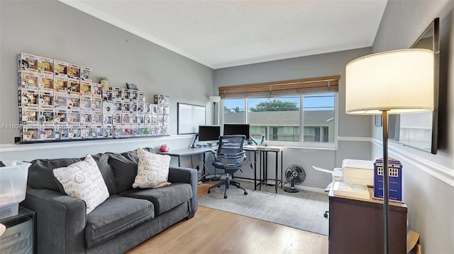 office space with crown molding and wood-type flooring