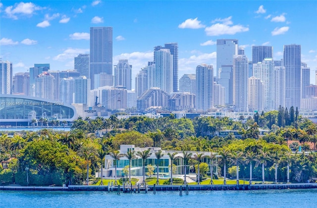 property's view of city with a water view