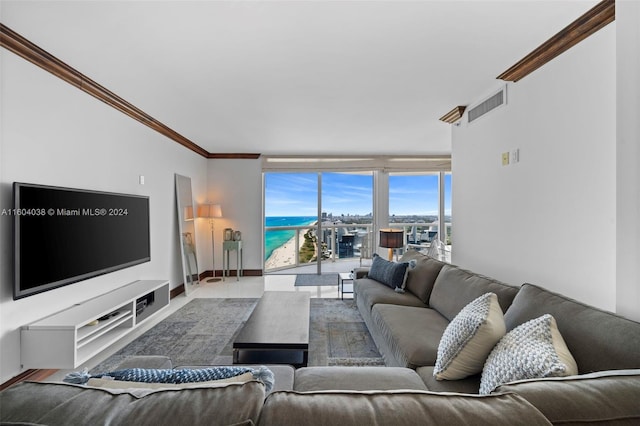 living room with crown molding