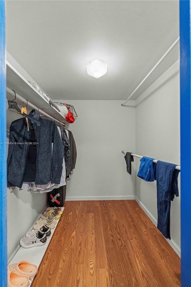 spacious closet featuring wood-type flooring