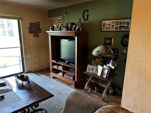 living room featuring hardwood / wood-style floors and a textured ceiling