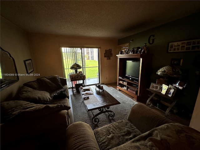 living area featuring a textured ceiling and carpet flooring